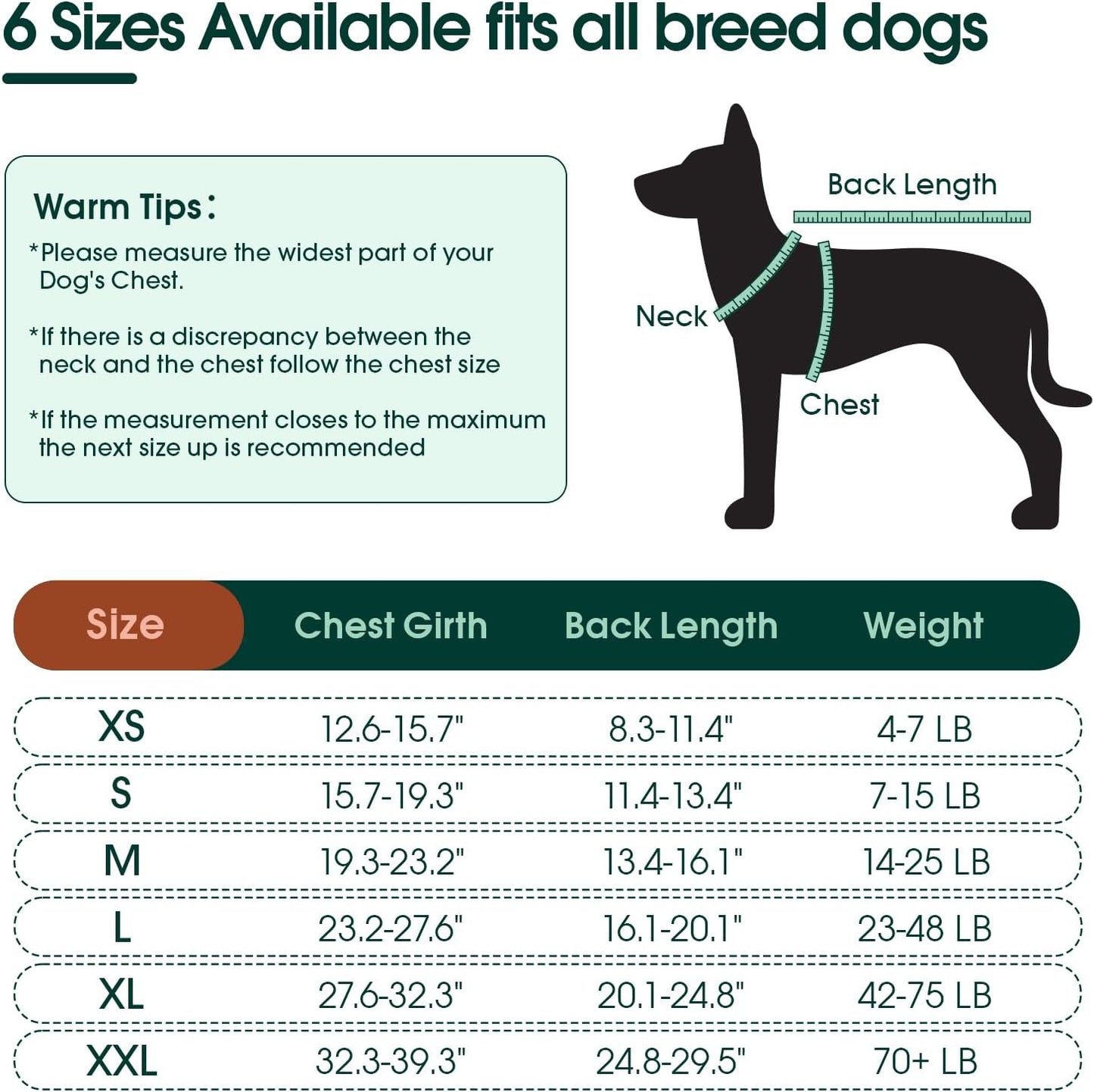 Kuoser Recovery Suit for Dogs & Cats, E-Collar Alternative, Abdominal Wounds & Surgery Recovery