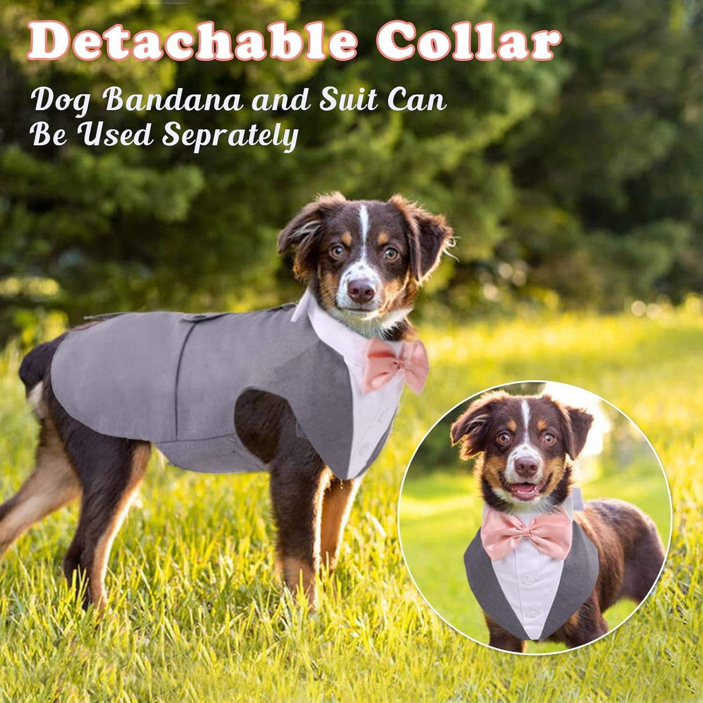 Dog Tuxedo & Bandana Set – Formal Wedding Outfit with Bow Tie for Dogs & Cats